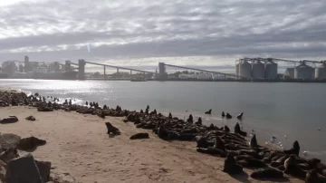 Martes mayormente nublado, pero con buena temperatura
