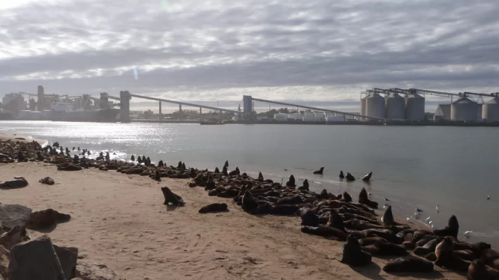 Martes mayormente nublado, pero con buena temperatura