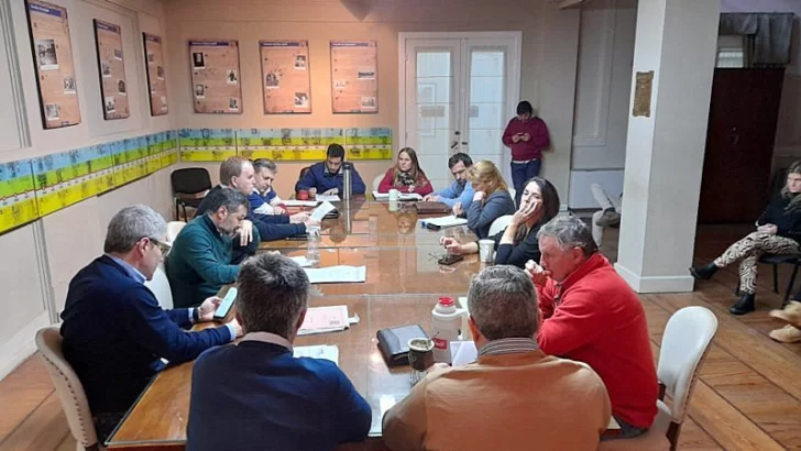 El Concejo sigue analizando la creación del Consejo de Seguridad