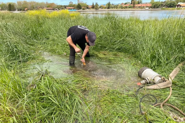 Falta de agua en Quequén: se rompió un caño que no figuraba en los planos