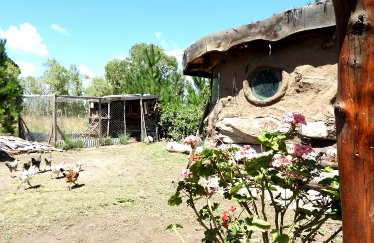 Premian a familia necochense por su vivienda sustentable