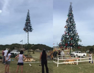Quequén ya tiene su Árbol de Navidad