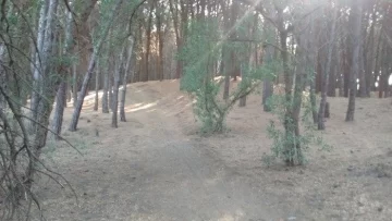 Droga en el parque: el año pasado apareció más de un kilo en la misma zona