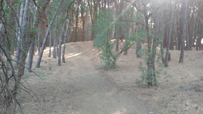 Droga en el parque: el año pasado apareció más de un kilo en la misma zona