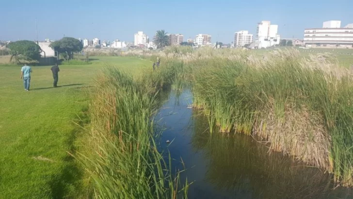 Mar del Plata: intensifican los rastrillajes en Punta Mogotes para hallar a Claudia Repetto
