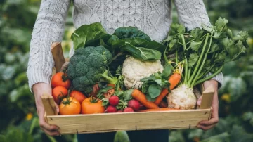 Solicitan un lugar para vender verduras agroecologicas