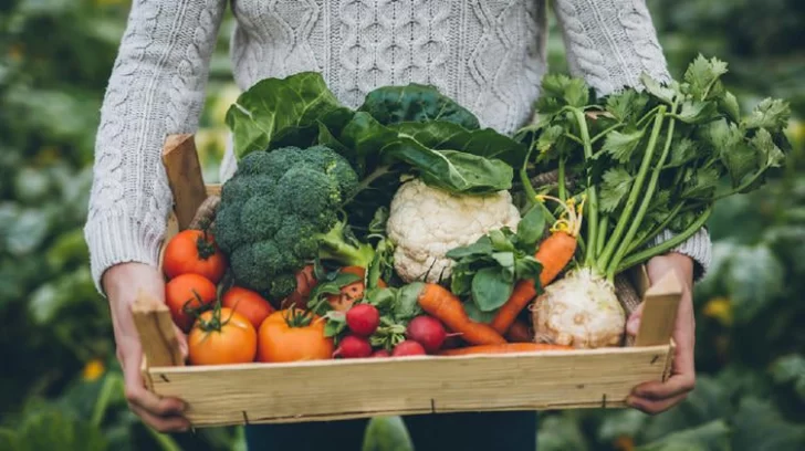 Solicitan un lugar para vender verduras agroecologicas