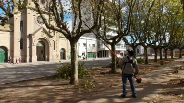 Está habilitada la poda de arbolado urbano