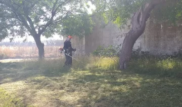 Cortan el pasto en los cementerios municipales