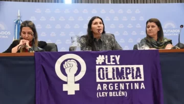 Avanzó en diputados el proyecto de ley contra la violencia digital