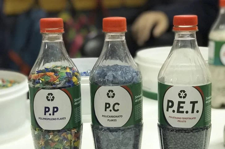 Con personal mínimo, “Todo Para Ellos” continúa reciclando