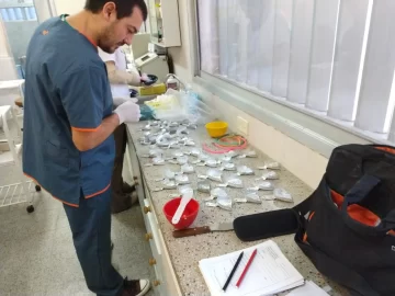 Comienzan con la implementación de prótesis sociales de odontología