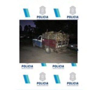Policía intercepto vehículos que llevaban leña sin documentación
