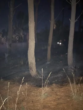 Incendio intencional en el Parque