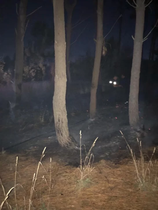 Incendio intencional en el Parque
