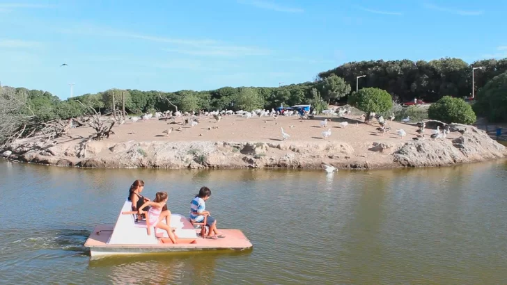 Invertirán 14 millones de pesos en el Lago de Los Cisnes