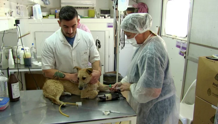 El Quirófano Móvil llegó a las 17 mil castraciones gratuitas