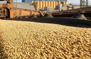 Sexto mes consecutivo de crecimiento de las exportaciones bonaerenses