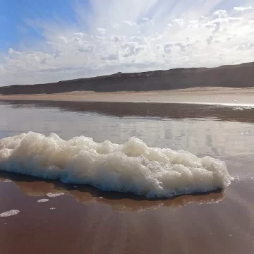Después de la niebla subirá la temperatura