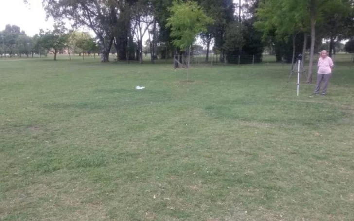 ¿Ovnis en Olavarría? Aparecieron grandes círculos y hongos en la zona