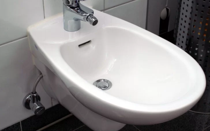 Insólito: el bidet es récord en ventas en Estados Unidos por la falta de papel higiénico