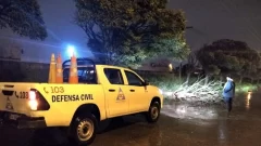 Defensa Civil abre convocatoria para tomar personal de temporada: qué requisitos se exigen