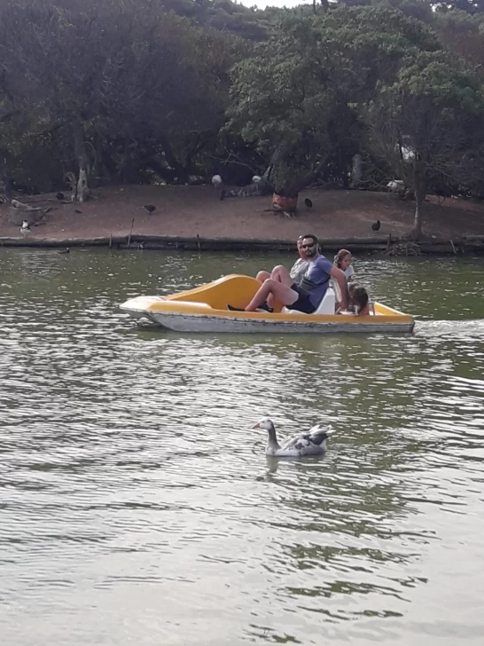 El Lago de los Cisnes