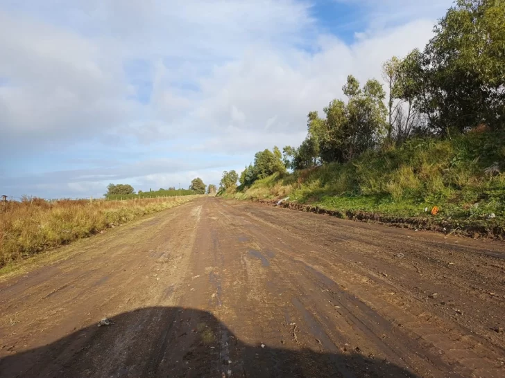 Limpiaron basural de calle 107 entre 82 y 90,