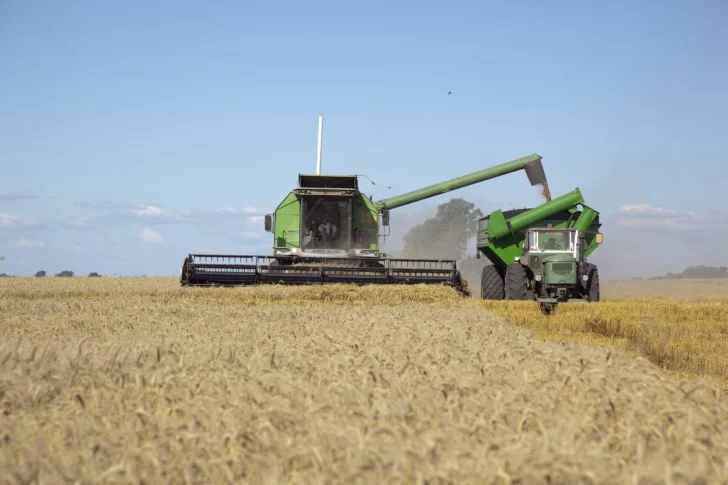 Agricultura prorrogó los embarques de trigo por 360 días