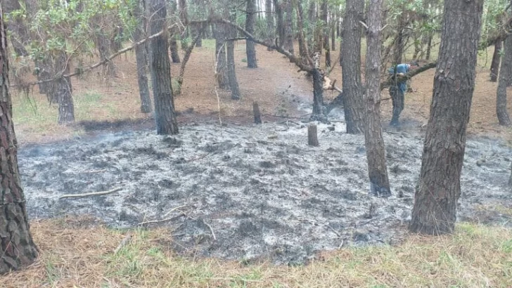 Advertencias de Defensa Civil para evitar incendios forestales