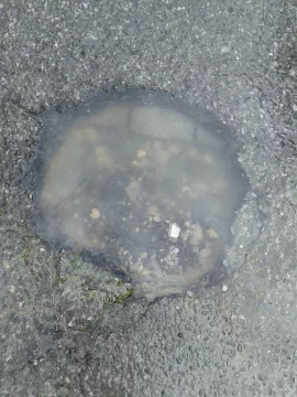 Pérdida de agua en pleno centro 61 y 63