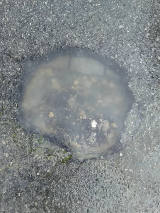 Pérdida de agua en pleno centro 61 y 63