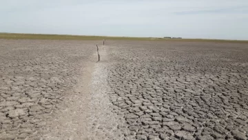 Prórroga en la inscripción de Emergencia Agropecuaria