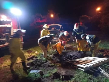 Bomberos logran rescatar dos perros que cayeron en un pozo de más de 8 metros