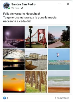 Captura-de-pantalla-2023-10-12-095612-517x728