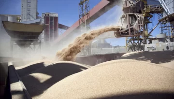 Cómo impacta en Argentina el acuerdo entre Estados Unidos y China por la soja