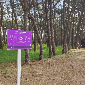 Quedó inaugurado El sendero de Hongos en el parque Miguel Lillo