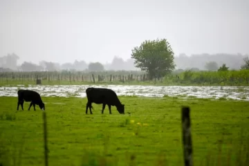 Lluvias: un importante cambio revela qué pasará en la Argentina en los próximos meses