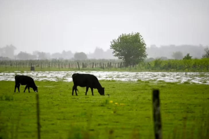 Lluvias: un importante cambio revela qué pasará en la Argentina en los próximos meses