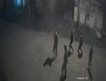 Rompieron cámaras de seguridad a piedrazos