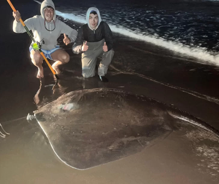 Pescaron una raya gigante entre Marisol y Monte Hermoso