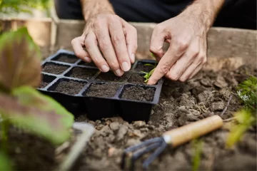 Taller de huerta en el parque Miguel Lillo