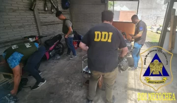 Desbaratan una banda que organizaba picadas clandestinas