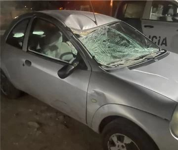 Indignación del vecino que se accidentó contra un caballo en la Ruta 86