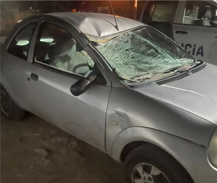 Indignación del vecino que se accidentó contra un caballo en la Ruta 86