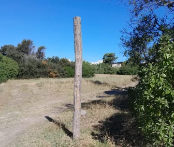Robaron los carteles de las calles internas del Parque Miguel Lillo