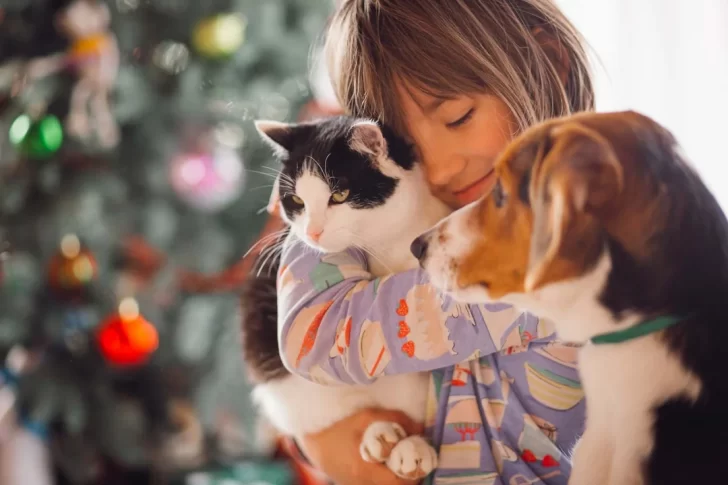 Los animales pueden aliviar la ansiedad, el estrés y la soledad: ¿Cómo lo hacen?