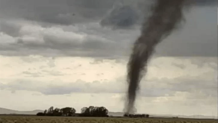 Tornado en Buenos Aires: diez recomendaciones para mantenerse a salvo