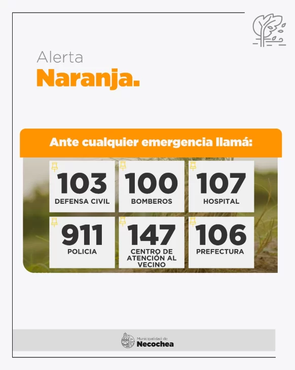 WhatsApp-Image-2023-12-14-at-12.32.00-582x728
