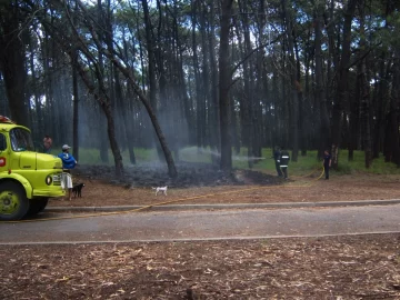 Recomendaciones de guardaparques para evitar incendios forestales